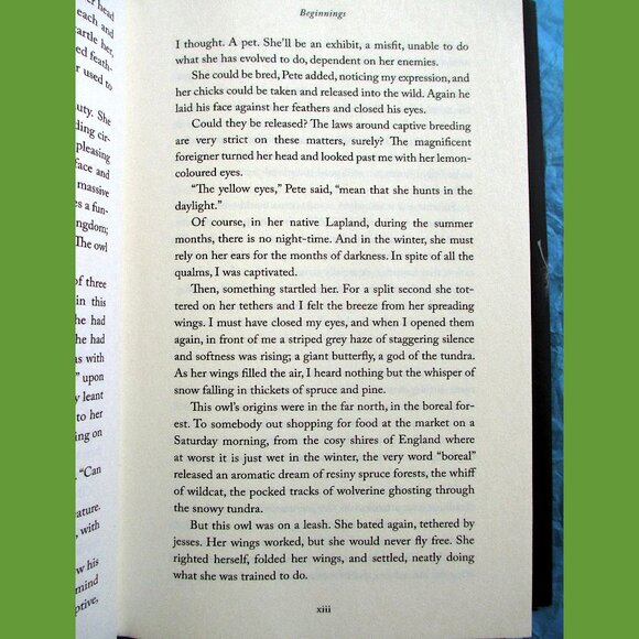 Book - The Wise Hours: A Journey into the Wild and Secret World of Owls - Picture 5 of 15